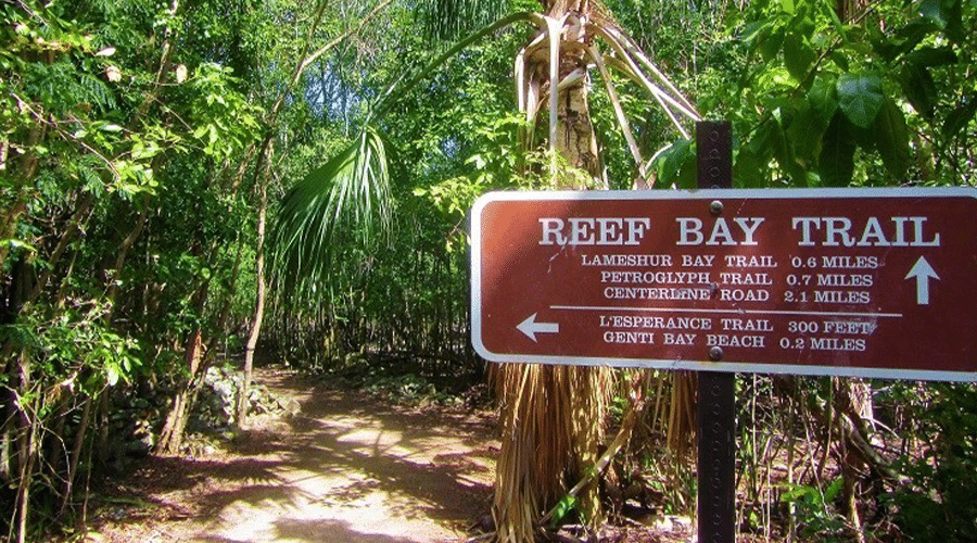 Reef Bay Trail on St. John, VI